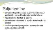 Tiiger-powerpoint #6