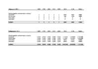 Informaatika äriplaan #13
