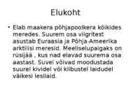 Liisa Piirisalu #11