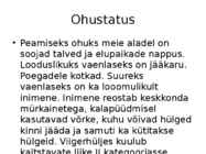 Liisa Piirisalu #14