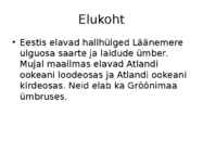 Liisa Piirisalu #5