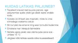 LATIKAS #5