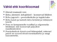 Vähid #2