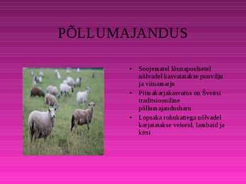 Šveitsi majandus #5