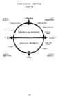 Christopher Vogler The Writers Journey #224