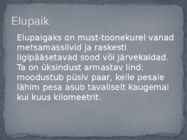 Must-toonekurg #7
