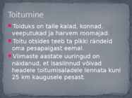 Must-toonekurg #8