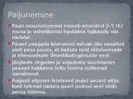 Must-toonekurg #9