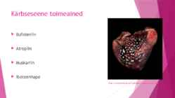 Maagilised-seened #4