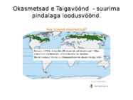 Okasmetsad #2