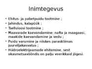 Okasmetsad #15