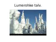 Okasmetsad #5