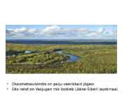 Okasmetsad #6