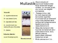 Okasmetsad #7