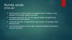 Pulli ja Kunda muinasasulad #3
