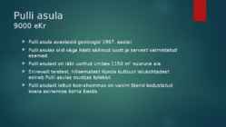 Pulli ja Kunda muinasasulad #5