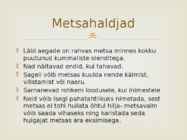 Haldjad #7
