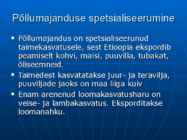 Etioopia #11