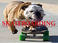 Skateboarding