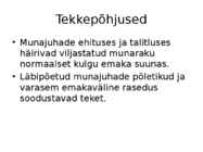 Emakaväline rasedus #3