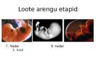 Inimese algne areng #4