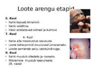 Inimese algne areng #5