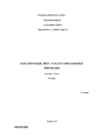 EMOTSIOONIDE MÕJU OTSUSTUSPROTSESSILE JUHTIMISES