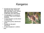 Kangaroos and Australia #3