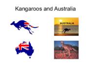 Kangaroos and Australia #4