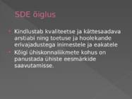 Sotsiaaldemokraatlik erakond #9