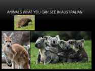 AUSTRALIA #9
