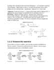 Biokeemia protokoll 1 1 ja 1 2 #9