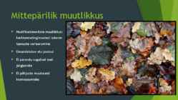 Mittepärilik muutlikkus #2