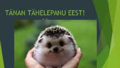 Mittepärilik muutlikkus #10