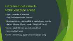 Looteline areng #3