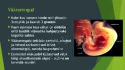 Looteline areng #8