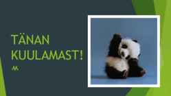 Looteline areng #10
