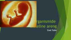 Looteline areng