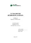 Vundamendi hüdroisolatsioon