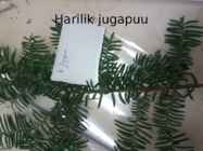 Okaspuud #44