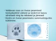 SUURKISKJAD EESTIS #16