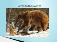 SUURKISKJAD EESTIS #20