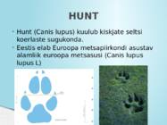 SUURKISKJAD EESTIS #5