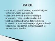 SUURKISKJAD EESTIS #10