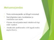Norra metsad #11