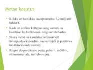 Norra metsad #8