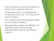 Norra metsad #10