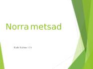 Norra metsad