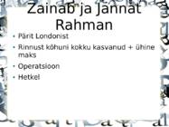 Siiami kaksikud #3