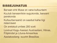 Powerpoint esitlus banaanidest #2